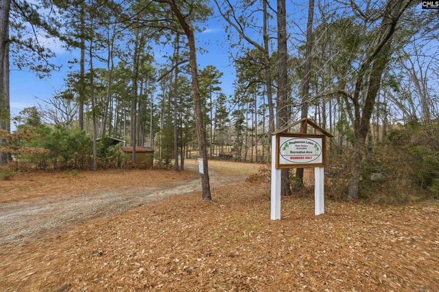 125 Mary Drive, Chapin, SC 29063