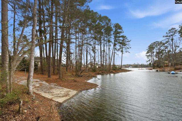 125 Mary Drive, Chapin, SC 29063