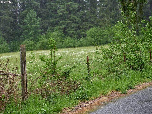 0 Ne 389th St, Amboy, WA 98601