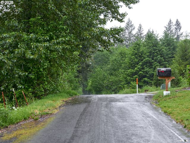 0 Ne 389th St, Amboy, WA 98601