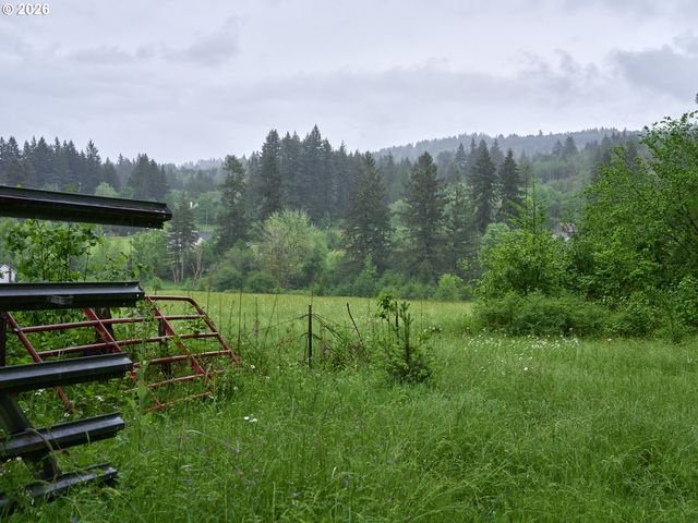 0 Ne 389th St, Amboy, WA 98601
