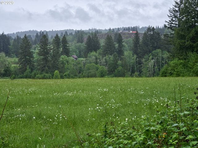 0 Ne 389th St, Amboy, WA 98601