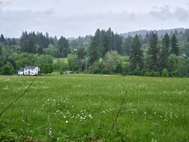 0 Ne 389th St, Amboy, WA 98601
