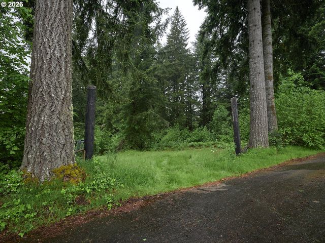 0 Ne 389th St, Amboy, WA 98601