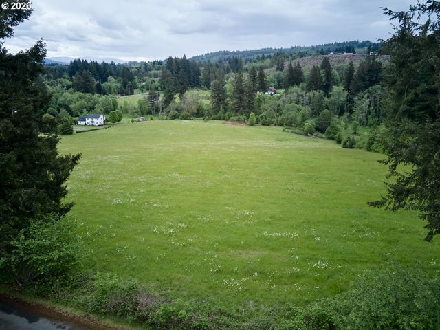0 Ne 389th St, Amboy, WA 98601