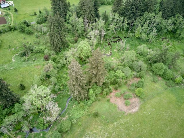 0 Ne 389th St, Amboy, WA 98601