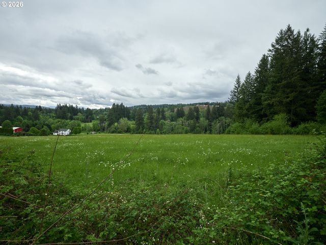0 Ne 389th St, Amboy, WA 98601