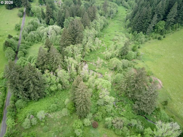 0 Ne 389th St, Amboy, WA 98601