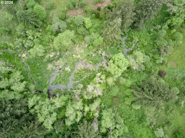 0 Ne 389th St, Amboy, WA 98601