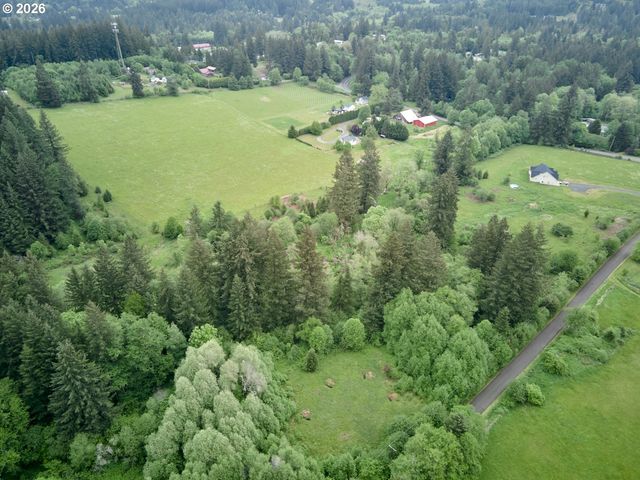 0 Ne 389th St, Amboy, WA 98601