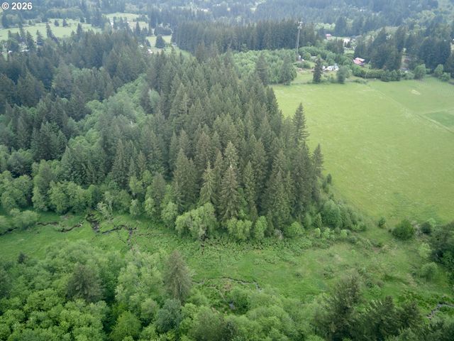 0 Ne 389th St, Amboy, WA 98601