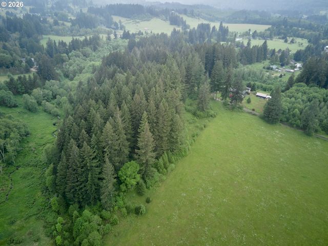 0 Ne 389th St, Amboy, WA 98601