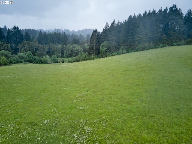 0 Ne 389th St, Amboy, WA 98601