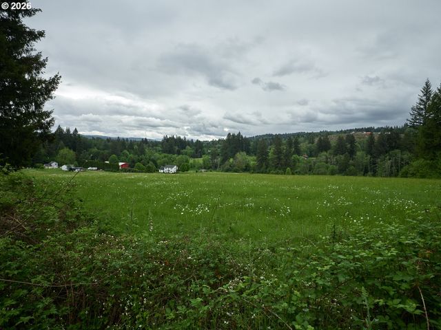0 Ne 389th St, Amboy, WA 98601
