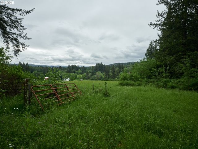 0 Ne 389th St, Amboy, WA 98601