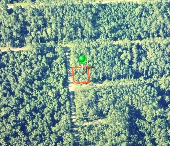 1124 VERCELLI LANE, Citrus Springs, FL 34434