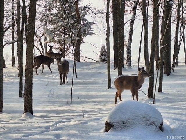 3788 MURRAY Road, Mayville, MI 48744