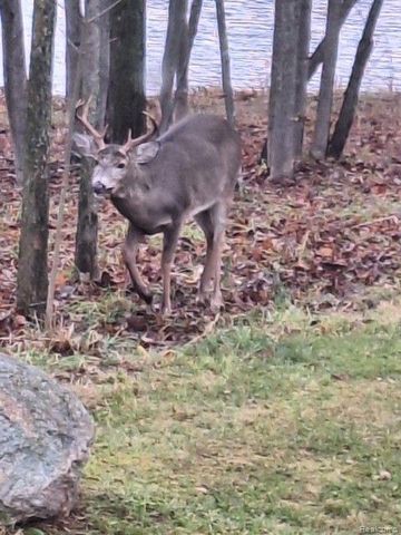 3788 MURRAY Road, Mayville, MI 48744