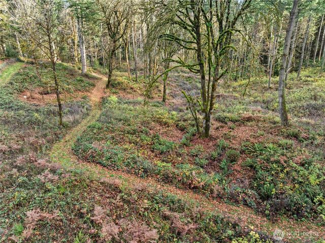 2925 Nature Lane SE, Tenino, WA 98589