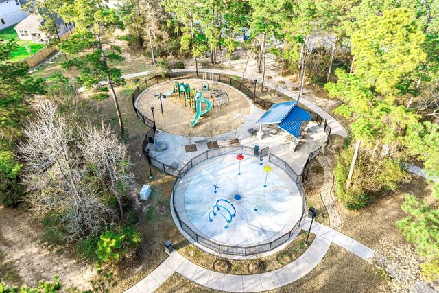 229 Douglas Hills Drive, Magnolia, TX 77354