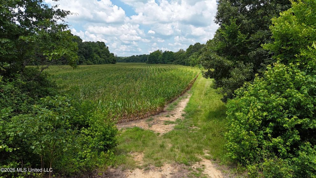 Barr Road, Coldwater, MS 38618 — photo 3