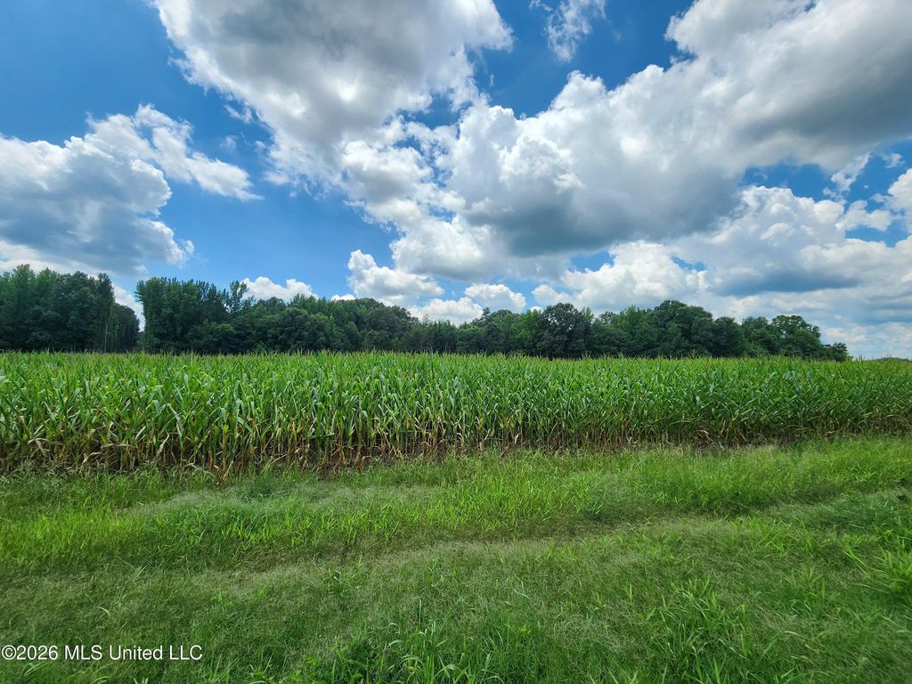 Barr Road, Coldwater, MS 38618 — photo 4