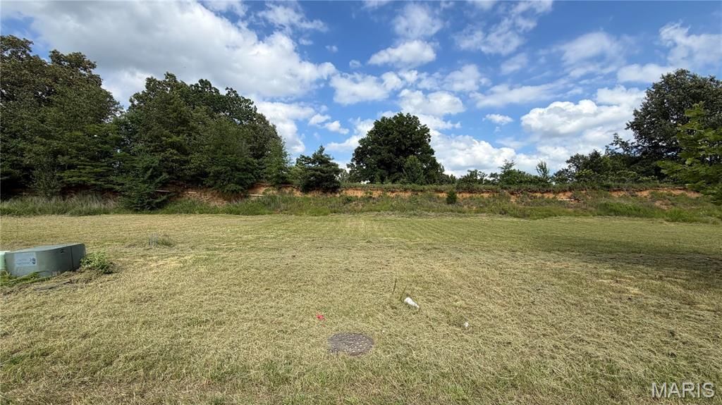 Image 1 of property listing at 00 Palm Tree Drive, Poplar Bluff, MO 63901