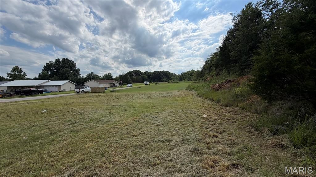 Image 3 of property listing at 00 Palm Tree Drive, Poplar Bluff, MO 63901