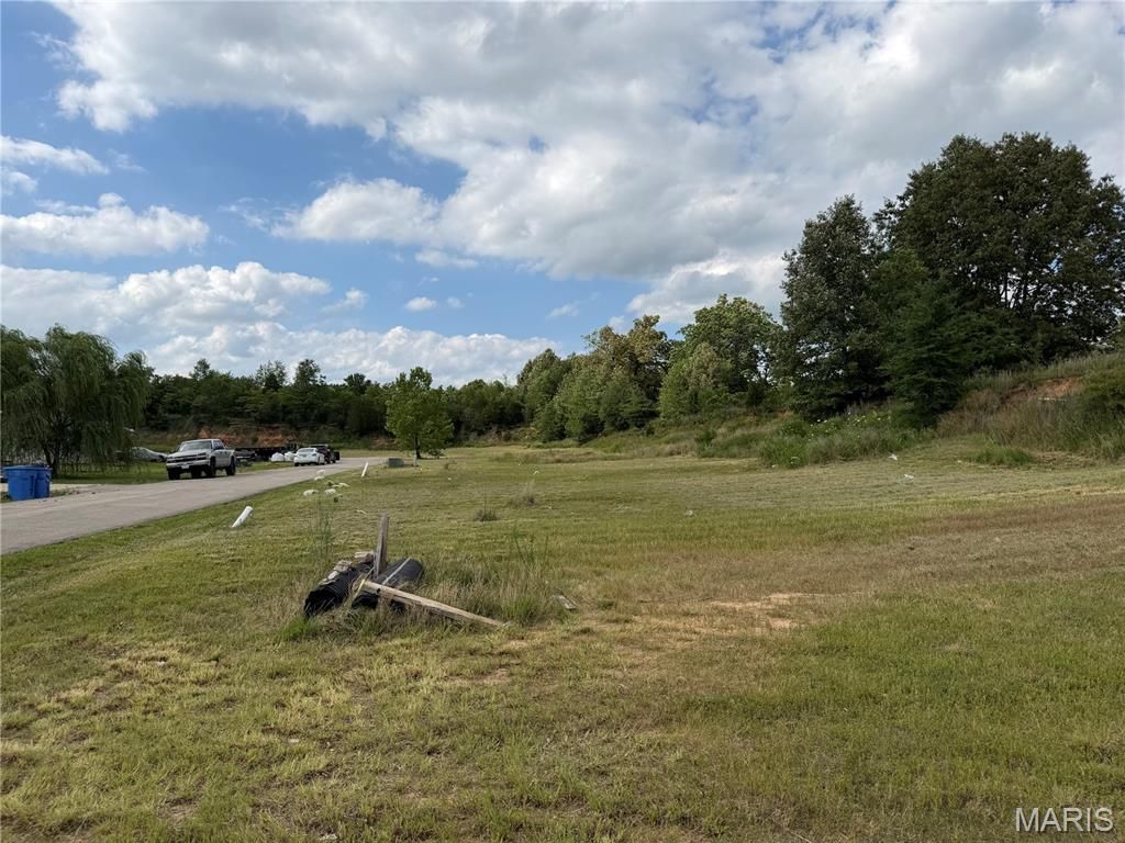Image 5 of property listing at 00 Palm Tree Drive, Poplar Bluff, MO 63901