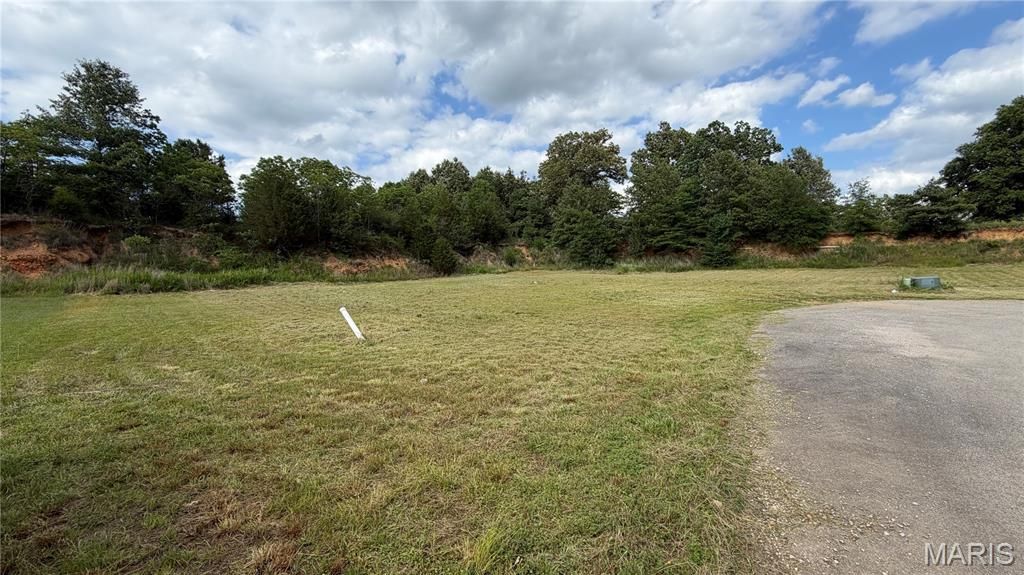 Image 6 of property listing at 00 Palm Tree Drive, Poplar Bluff, MO 63901