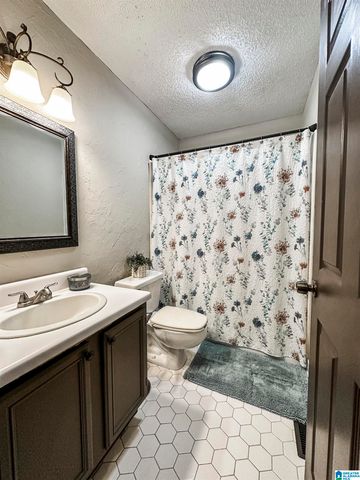 119 ZELTMAN HILL ROAD, Pell City, AL 35128