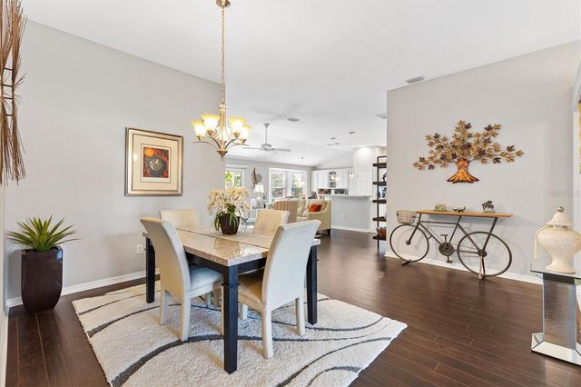 294 MATISSE AVENUE, The Villages, FL 32162