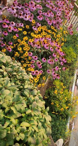 1110 Johnson Street, Des Moines, IA 50315