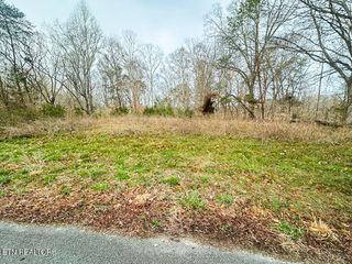Lot 1102 Mountain View Lane, Baneberry, TN 37890