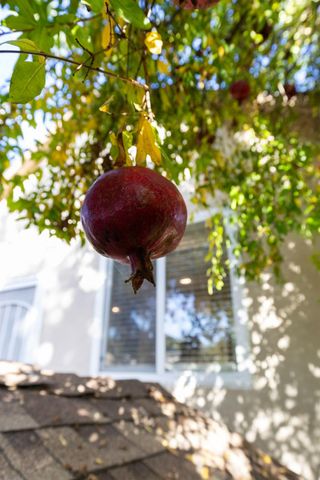 608 Yolo St, West Sacramento, CA 95605