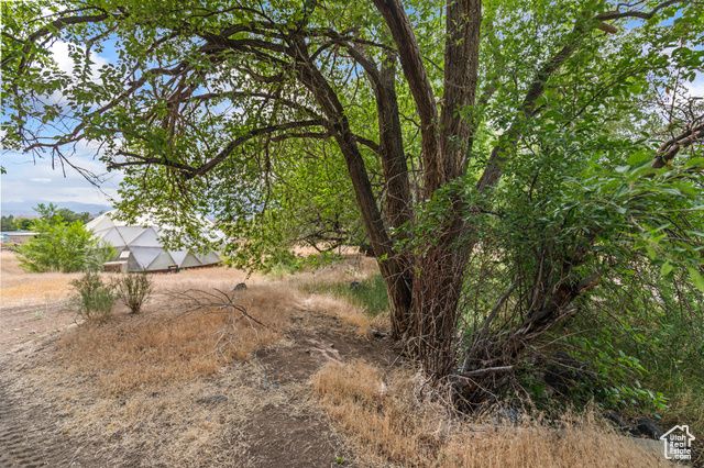 986 E 2290 N, Monroe, UT 84754