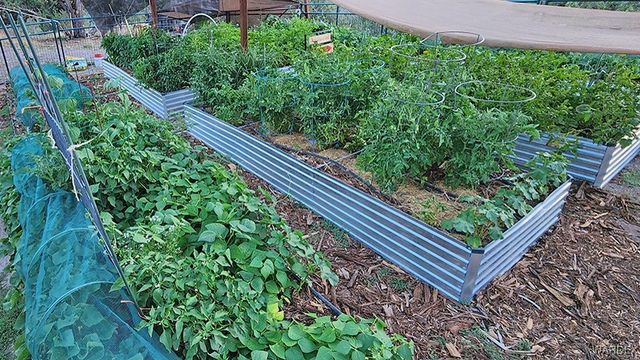 18723 E Knight Creek Road, Kingman, AZ 86401