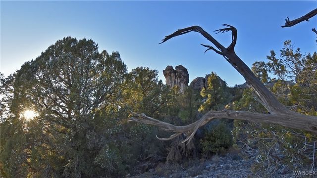 18723 E Knight Creek Road, Kingman, AZ 86401