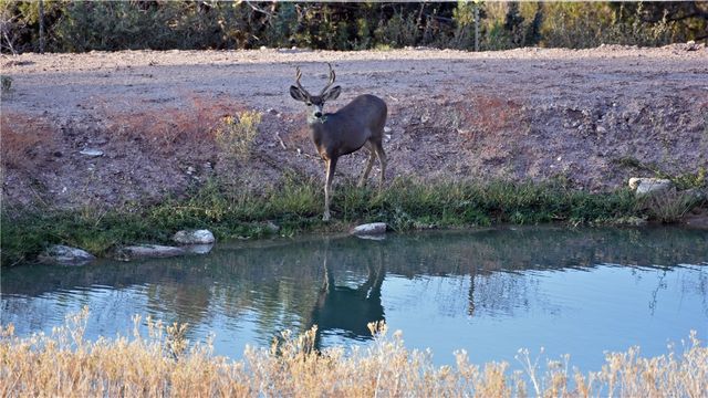 18723 E Knight Creek Road, Kingman, AZ 86401