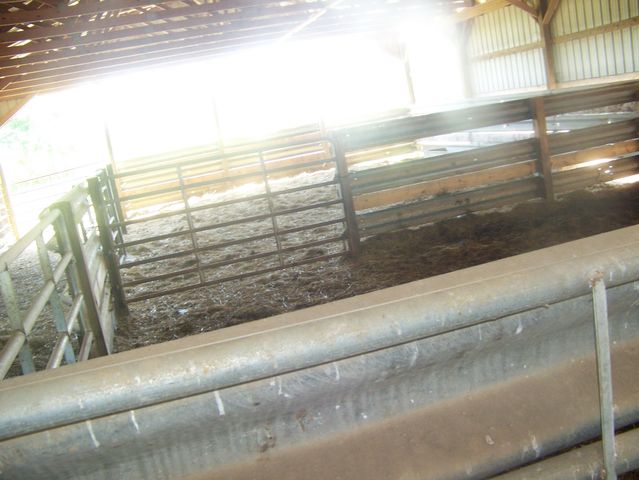 3921 Poplar Plains Road, Flemingsburg, KY 41041