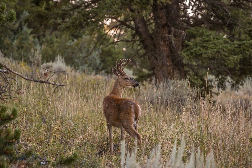 TBD Jack Creek Road, Moonlight Territory Parcel 5, Big Sky, MT 59729 photo 14