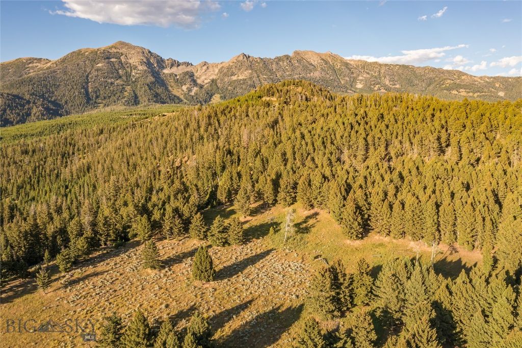 TBD Jack Creek Road, Moonlight Territory Parcel 5, Big Sky, MT 59729 photo 17