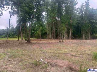 Lot 17 Heidi Lane, Hamer, SC 29547