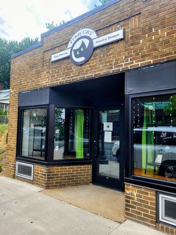 161 King Street W, Saint Paul, MN 55107