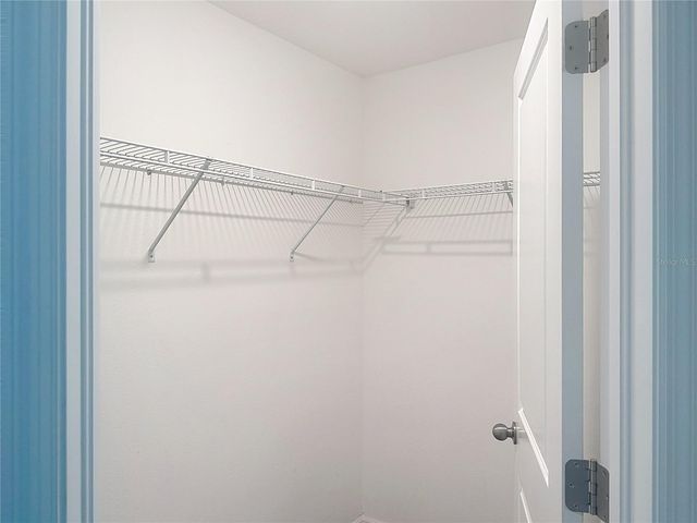 4540 GLOBE THISTLE DRIVE, Tampa, FL 33619