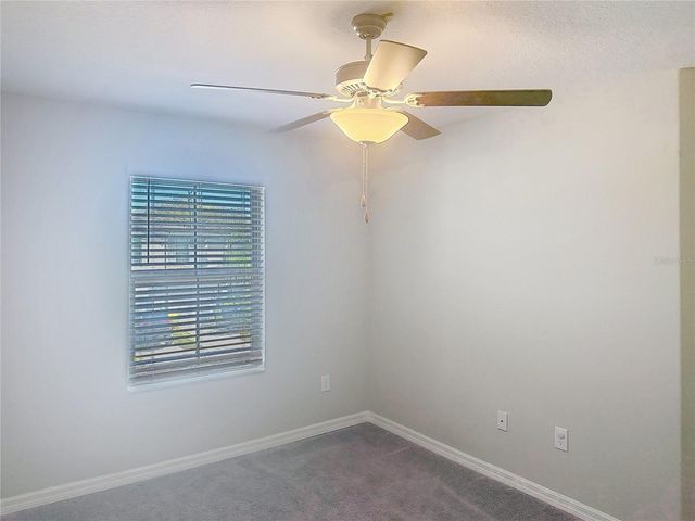 4540 GLOBE THISTLE DRIVE, Tampa, FL 33619