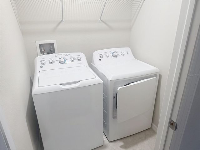 4540 GLOBE THISTLE DRIVE, Tampa, FL 33619