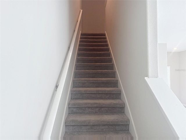 4540 GLOBE THISTLE DRIVE, Tampa, FL 33619