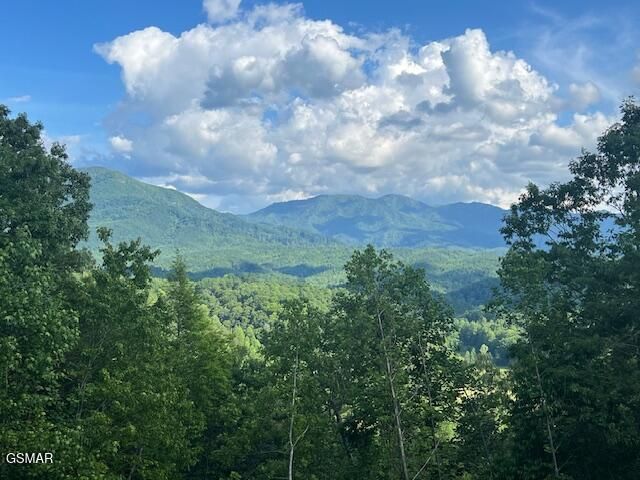 5262 Riversong Way, Sevierville, TN 37876