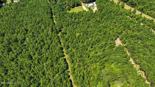 4106 Tanglewood Road, Magnolia, MS 39652